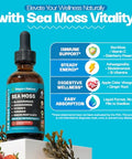 Drops Of Nature Ashwagandha & Turmeric Liquid Drops - Vitamin C Sea Moss Apple Cider Vinegar Bladderwrack - Vegan Liquid Drops For Comprehensive Wellness Support & Vital Immunity (Strawberry Ginger Lemonade 60Ml)