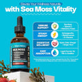 Drops Of Nature Ashwagandha & Turmeric Liquid Drops - Vitamin C Sea Moss Apple Cider Vinegar Bladderwrack - Vegan Liquid Drops For Comprehensive Wellness Support & Vital Immunity (Strawberry Ginger Lemonade 60Ml)