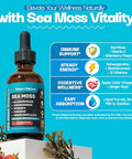 Drops Of Nature Ashwagandha & Turmeric Liquid Drops - Vitamin C Sea Moss Apple Cider Vinegar Bladderwrack - Vegan Liquid Drops For Comprehensive Wellness Support & Vital Immunity (Strawberry Ginger Lemonade 60Ml)