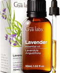 Gya Labs Lavender Oil Essential Oil For Diffuser & Peppermint Oil For Hair Set - Aromatherapy Grade Essential Oils Set - 2X30Ml - Gya Labs