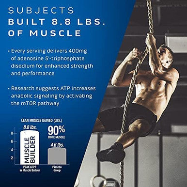 Muscletech Muscle Builder With 400Mg Peak Atp And Platinum Multivitamin With Amino Support Matrix And Vitamin C Muscle Building And Immune Support Supplement Bundle For Men And Women