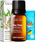Gya Labs Clove Bud & Tea Tree Essential Oil Set - Aromatherapy Grade Essential Oils Set - 2X0.34 Fl Oz - Gya Labs