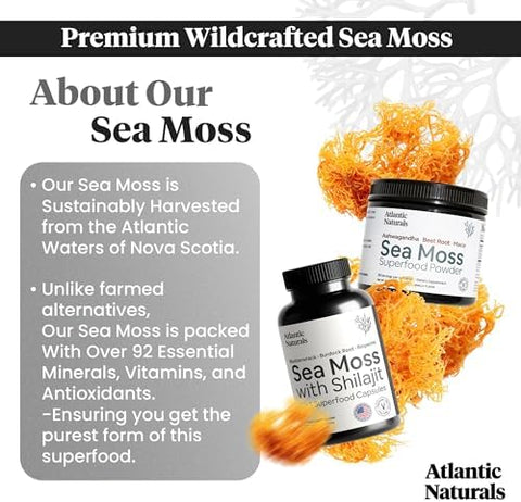 Atlantic Naturals Sea Moss Superfood Bundle Sea Moss with Shilajit 5in1 Capsules and Sea Moss Powder with Ashwagandha Beet Root and Maca Root Enhanced Vitality Skin and Athletic Support 60 ct and 150g