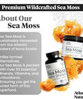 Atlantic Naturals Sea Moss Superfood Bundle - Sea Moss With Shilajit 5-In-1 Capsules & Sea Moss Powder With Ashwagandha Beet Root & Maca Root - Enhanced Vitality Skin & Athletic Support 60 Ct & 150G