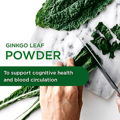 Emerald Labs Ginkgo Biloba Extract - Brain Health Supplement - Antioxidant & Energy Support - 60 Vegetable Capsules (30-Day Supply)