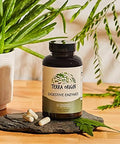 Terra Origin Digestive Enzymes With Probiotics & Prebiotics 60 Capsules Supports Digestive Gut Health Non Gmo Gluten Vegan For Women And Men