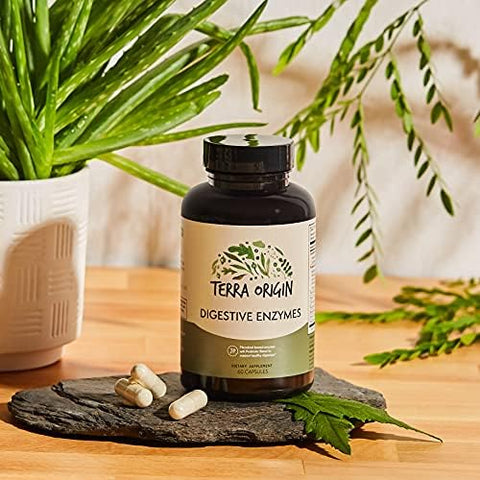 Terra Origin Digestive Enzymes With Probiotics & Prebiotics 60 Capsules Supports Digestive Gut Health Non Gmo Gluten Vegan For Women And Men