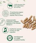 Micro Ingredients Grass Fed Beef Organ Supplement For Women Bovine Beef Liver Kidney Heart & Uterus Tissue 1200 Mg Organ Blend Plus Vitamin C Colostrum & Collagen 240 Capsules No Fillers