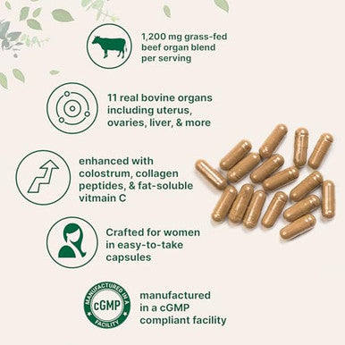 Micro Ingredients Grass Fed Beef Organ Supplement For Women Bovine Beef Liver Kidney Heart & Uterus Tissue 1200 Mg Organ Blend Plus Vitamin C Colostrum & Collagen 240 Capsules No Fillers