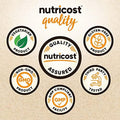 Nutricost Fiber Capsules With Prebiotic Fiber Supplement 300 Capsules Made With Organic Psyllium Husk & Organic Jerusalem Artichoke 60 Servings Gluten 3 G Per Serving