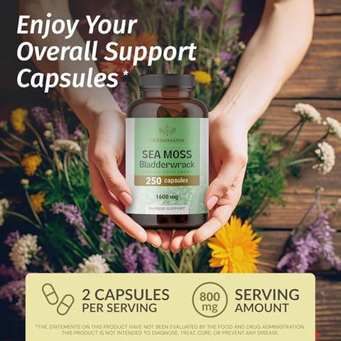 HERBAMAMA Sea Moss and Beet Root Kit Bundle of 1600 mg Sea Moss with Bladderwrack and 21: 1 Concentrate Beet Root Capsules Vegan NonGMO GelatinFree 2 Pack