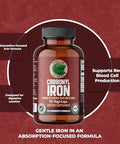 Pure Lab Vitamins Carbonyl Iron 90 VegiCaps