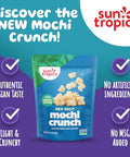 Sun Tropics Mochi Snack Bites Sea Salt Dairy Free Gluten Free 3.5 Oz (Pack of 12)