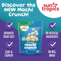 Sun Tropics Mochi Snack Bites Sea Salt Dairy Free Gluten Free 3.5 Oz (Pack of 12)