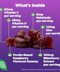 Natrol Sleep Immune Health Gummy Sleep Aid & Immunity Support Elderberry Vitamins C D And Zinc Drug Free 50 Berry Flavored Gummies (Packaging May Vary)