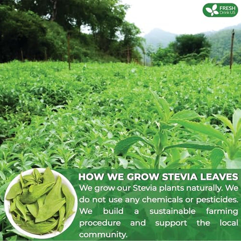 FreshDrinkUS Premium 300+ Natural Stevia Leaves Whole Dried Leaves 100% Pure Stevia Dried Leaves Zero Calorie Sweetener No Additives No Caffeine Vegan