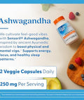 Doctor'S Best Ashwagandha With Sensoril Ayurvedic Herb Standardized Withania Somnifera Extract Clinically Proven To Support Mental Focus Cardiovascular Health & Healthy Energy 125Mg 60 Count