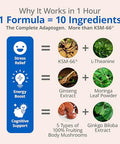 Lincnutri Ksm-66 Ashwagandha Supplements Extra Strength Ashwagandha Root Extract 10-In-1 Adaptogen Complex For Cortisol Stress Relief Boost Energy & Immune Support 60 Vegan Gluten-Free Capsules