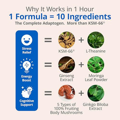 Lincnutri Ksm-66 Ashwagandha Supplements Extra Strength Ashwagandha Root Extract 10-In-1 Adaptogen Complex For Cortisol Stress Relief Boost Energy & Immune Support 60 Vegan Gluten-Free Capsules