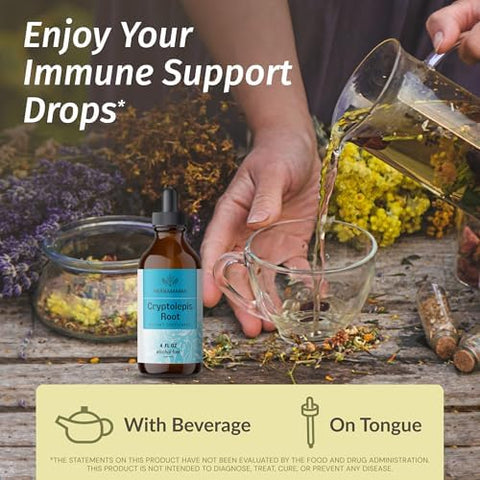 Herbamama Liquid Drops Kit - Bundle Of Cryptolepis Root And Black Elderberry Tincture 4 Fl Oz - Vegan Non-Gmo Sugar & Alcohol- - 2 Pack