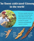 Dragon Herbs Ginseng Sublime Dropsall Natural Extract Supplement To Support Energy Stress Focus Skin Endurance Lungs Immune Healthamerican Red And White Ginseng2 Fl. Oz