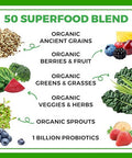 Orgain Organic Greens Powder + 50 Superfoods Original 1 Billion Probiotics For Digestive Health Antioxidants Vegan Plantbased Gluten Nongmo Green Juice & Smoothie Drink Mix 0.62Lb