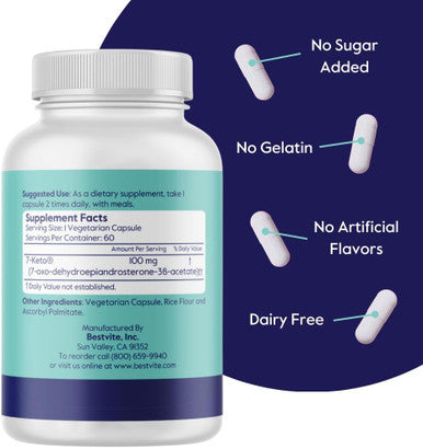 Bestvite 7-Keto 100mg DHEA (120 Vegetarian Capsules) (2-Pack) - No Stearates