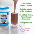 Orgain Organic Vegan Protein Powder + Oat Milk Vanilla Bean 20G Plant Based Protein Gluten No Dairy Soy Or Lactose Ingredients Low Sugar Nongmo Kosher For Shakes & Smoothies 1.05Lb
