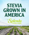 SPLENDA Stevia Zero Calorie Sweetener Plant Based Sugar Substitute Granulated Powder Single Serve Packets 500 Count (Pack of 1)