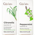 Gya Labs Citronella & Peppermint Essential Oil Set - Aromatherapy Grade Essential Oils Set - 2X10Ml - Gya Labs