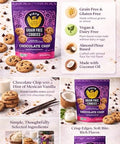 Siete Grain Free Cookies Mexican Vanilla Chocolate Chip ÃƒÂ¢Ã¢â€šÂ¬Ã¢â‚¬Å“ Gluten Free Vegan Cookies ÃƒÂ¢Ã¢â€šÂ¬Ã¢â‚¬Å“ Almond Flour Cookies with Coconut Oil ÃƒÂ¢Ã¢â€šÂ¬Ã¢â‚¬Å“ Dairy Free, Paleo Friendly Snack ÃƒÂ¢Ã¢â€šÂ¬Ã¢â‚¬Å“ 16 oz