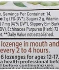 Zinc Echinacea ct (pack of 12)12