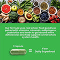 Paradise Herbs Earth'S Blend Quercetin For Immunity Antioxidant Activity Probiotics Adaptogens Vegan Non Gmo Gluten 90 Vegetarian Capsules