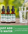 Nutramedix Detox Set 3Piece Kit With Sealantro Burburpinella & Magnesium Malate For Cleansing Detox & Daily Wellness Support Plantbased Liquid Detox Drops & Daily Capsules