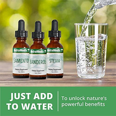Nutramedix Detox Set 3Piece Kit With Sealantro Burburpinella & Magnesium Malate For Cleansing Detox & Daily Wellness Support Plantbased Liquid Detox Drops & Daily Capsules