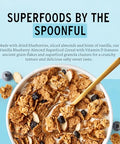 BKSUAIWU Black Sesame Walnut Mulberry Powder,500g/17.63oz,Ground Sesame Seeds,No Sugar,Instant Beverage Cereal BreakfastÃƒÂ©Ã‚Â»Ã¢â‚¬ËœÃƒÂ¨Ã… Ã‚ÂÃƒÂ©Ã‚ÂºÃ‚Â»ÃƒÂ§Ã‚Â³Ã…