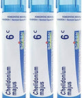 Boiron Chelidonium Majus 6C Homeopathic Medicine For Nausea With Right Upper Back Pain Pack Of 3 (240 Pellets)