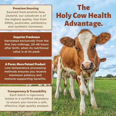 Holy Cow Health Colostrum Chewable Tablets Highly Bioactive Colostrum