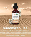 Maryruth's Lions Mane Mushroom Supplement 1 Fl Oz 1180Mg
