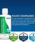Beam Minerals Micro-Boost Humic Mineral Blend & Electrolyze Liquid And Insta-Lytes Natural Liquid Electrolytes 2Oz
