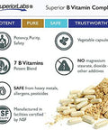 Superior Labs B Vitamin Complex Superior Absorption 100 NonGMO Safe from Additives Stearates Gluten and Other Allergens Regulate Digestive System and Support Metabolism 60 Vegetable Caps