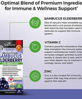Advanced Strength Pre And Probiotics Supplement With Digestive Enzymes (2 Month Supply) Plus Elderberry With Zinc And Vitamin C For Adults Immune Support (2 Month Supply)