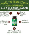Peak Performance All 5 Multi-Collagen Capsules - 90 Pills Of Grass Fed Peptides Protein - Supplement With All 5 Collagen Types I Ii IiiV X From Beef Fish Eggshell And Chicken Bone Broth