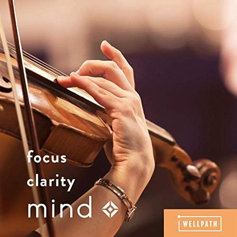 Wellpath Mind Brain Supplement For Memory And Focus With Lion'S Mane Ginkgo Biloba And L-Theanine For Long Term Cognitive Support Vegan Non-Gmo 60 Ct