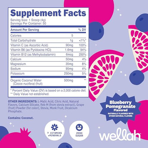 Wellah Electrolytes Powder (Blueberry Pomegranate) 50 Servings - Hydration Drink Mix 7 Vitamins & Minerals Zero Sugar
