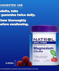 Natrol Magnesium Citrate High Absorption Magnesium Supplement For Mood And Stress Helps Calm The Mind And Relax The Body 60 RaspberryFlavored Gummies Up To A 30 Day Supply