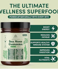 Natural Rems Sea Moss Gummies 16in1 Ashwagandha Black Seed Oil Bladder Wrack Turmeric Vitamin C and D3 with Manuka Burdock Root Dandelion Yellow Dock Elderberry Apple Cider Vinegar (Green Apple)