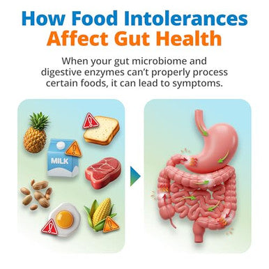 5Strands Gut Health Test For Adults & Kids 500 Items Tested At-Home Hair Sample Screening For Food Intolerances Linked To Digestive Issues Skin Irritation Brain Fog & Headaches Results In 4 Days