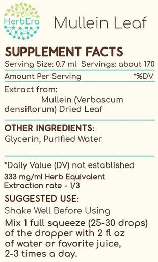 Mullein Leaf B120 Alcohol-Free Herbal Extract Tincture, Super-Concentrated Mullein (Verbascum Densiflorum) Dried Leaf (4 fl oz)