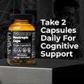 Santa Cruz Paleo Nootropic Capsules Lions Mane Alpha Gpc Panax Ginseng & Ginkgo Biloba For Focus Memory Mental Clarity & Energy Keto Paleo Gluten Free Brain Supplement 60 Caps